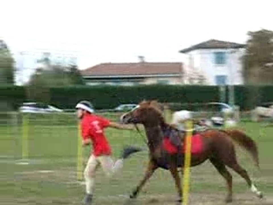 pony games 179