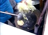 Beijing Street Food Series - Stir-Fried Bing 炒饼