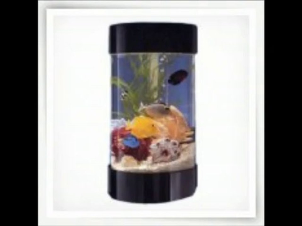 Aquariums Direct