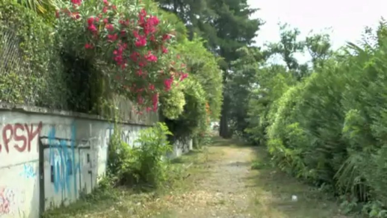 LES W-D.D. MICHOU NEWS - 18 JUILLET 2013 - STADE NAUTIQUE - LES TRIBUNES VONT ETRE COUVERTES.