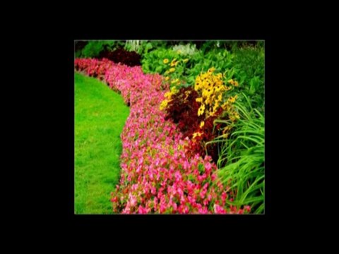 Rental Management Brisbane, Property Management Specialists