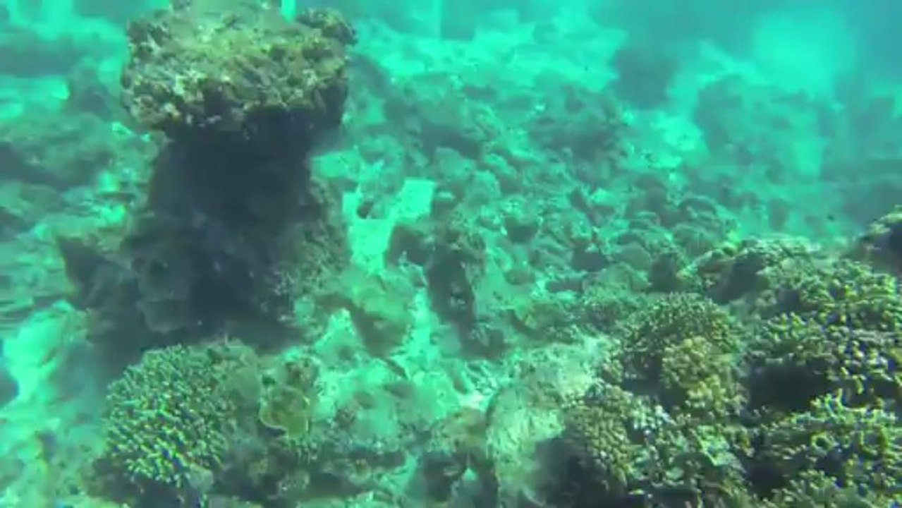 Bali, dans les rizières et sous l'eau