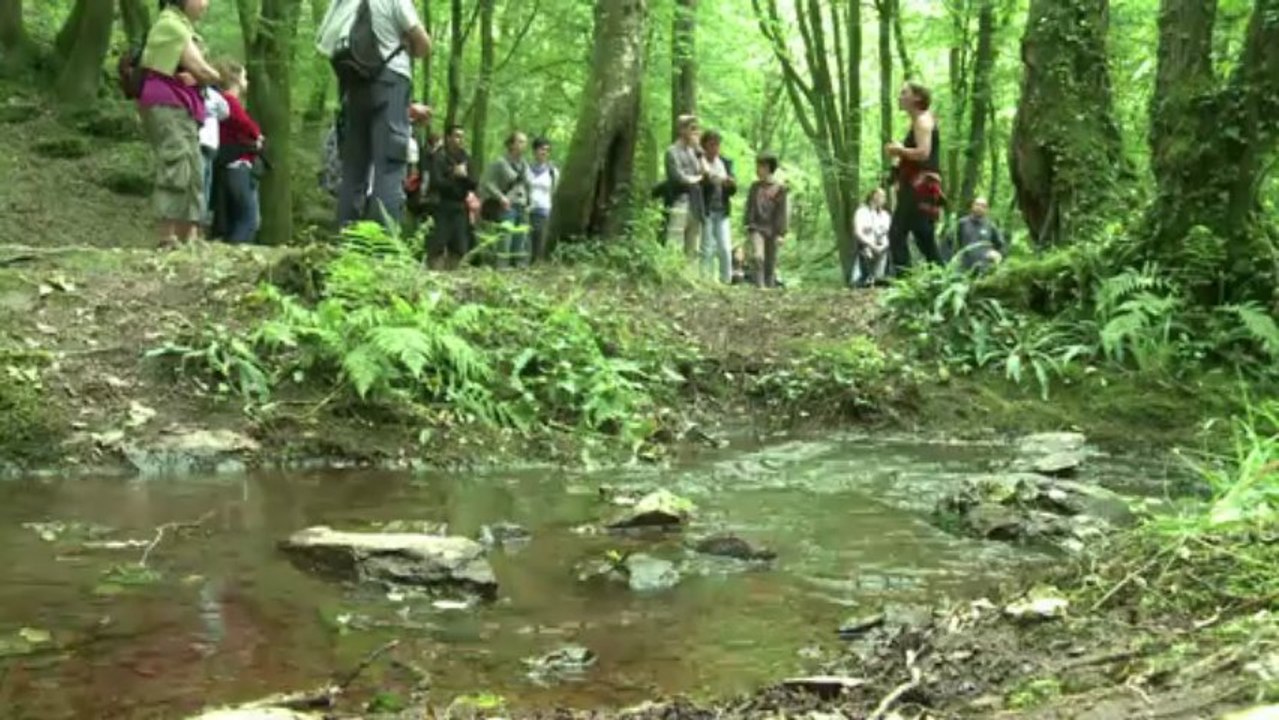 Sur les traces du roi Arthur dans la forêt de Brocéliande