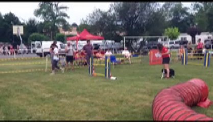 Chips et star chad oc