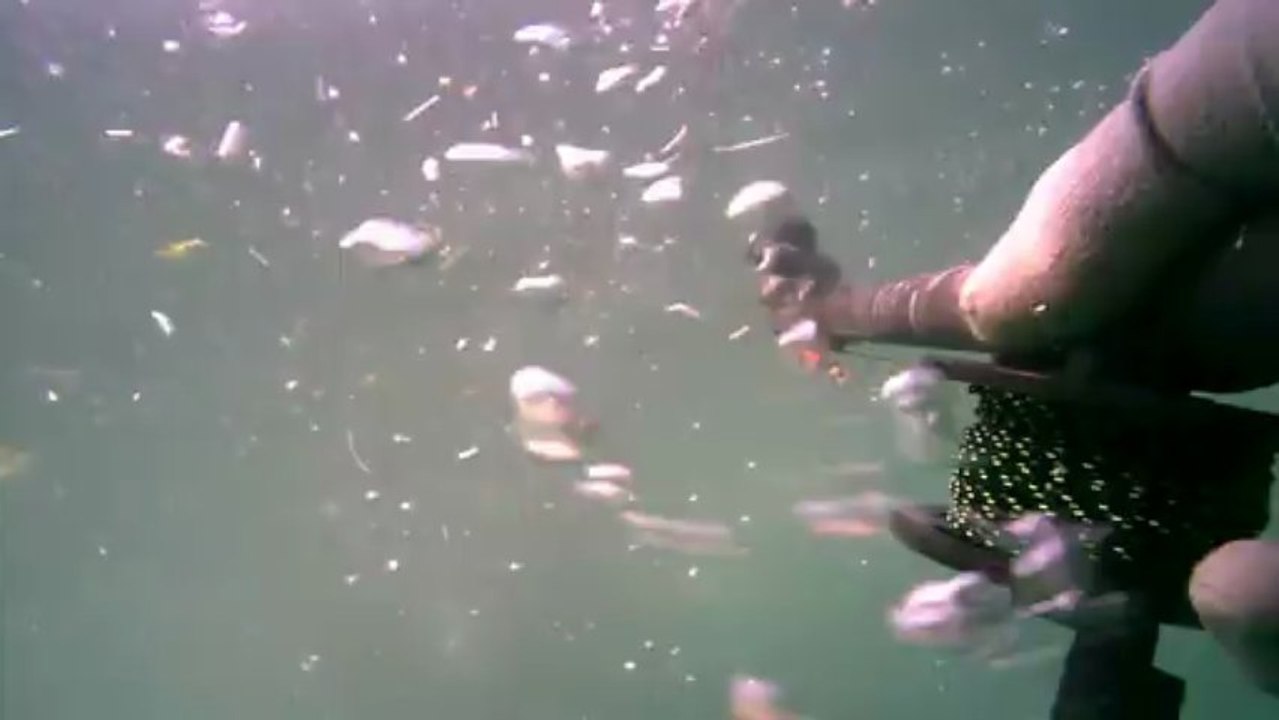 chasse sous marine épave ile de ré