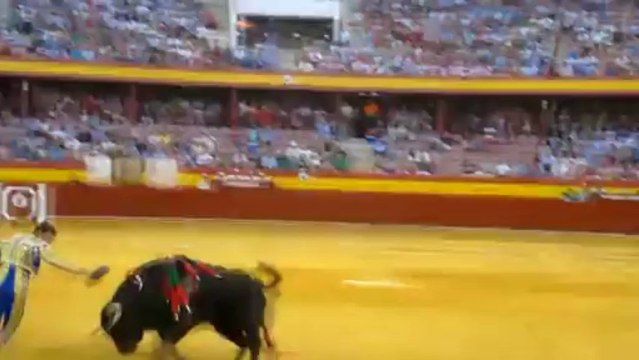 TRIUNFO DE HERMOSO Y FANDI EN ROQUETAS