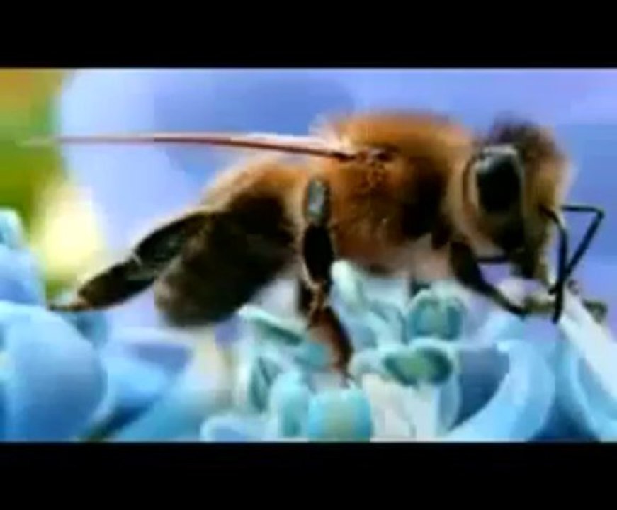 the signs part 02 les signes l _ empreinte de Allah