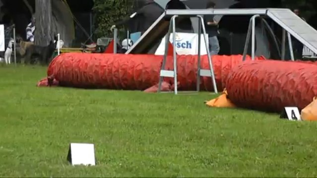 Sophie et Easy GPF Concours agility Sarreguemines 29/06/2013