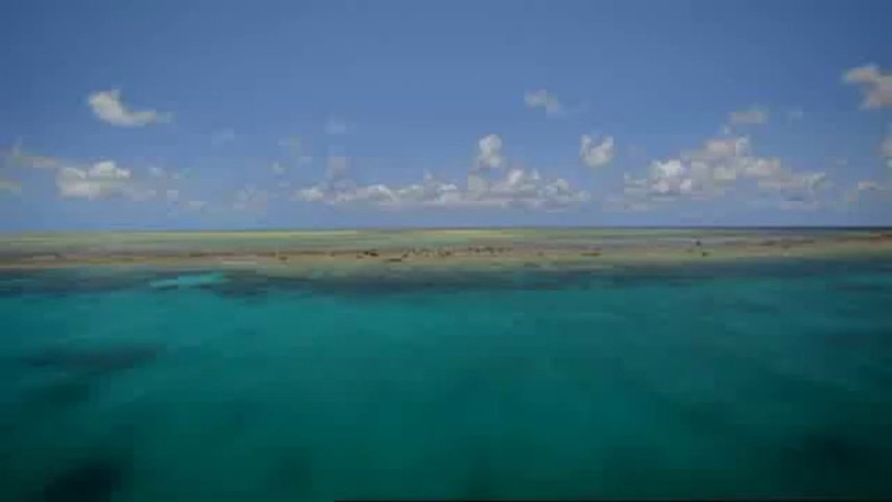 Aux origines de la vie - De l'eau à la terre 2/2 (Documentaire)