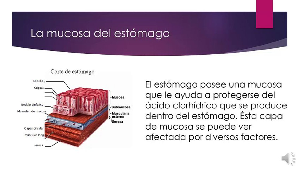 La gastritis: Causas, síntomas y tipos