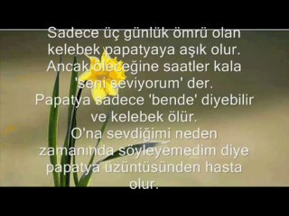 Seslikumsal, seslikumsal.com, seslikumsal.net, sesli kumsal