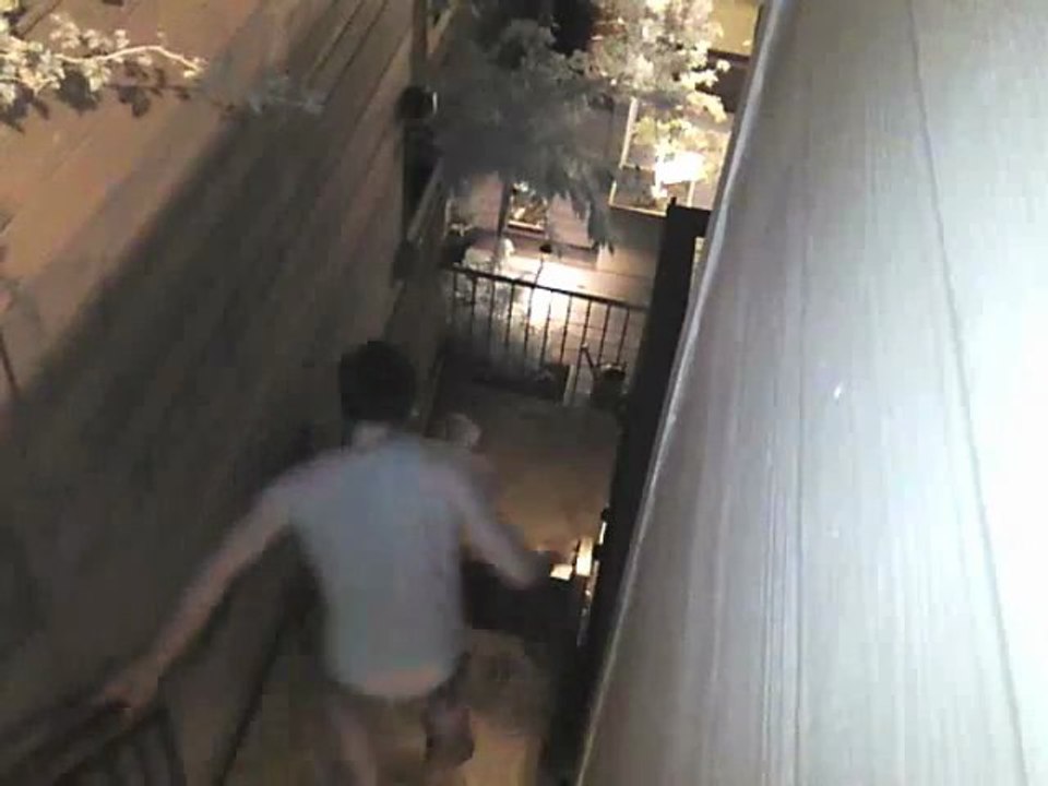 Kevin Rose - My dog Toaster was attacked by a raccoon - DIGG Creator