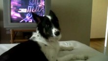 VID 00097-20120311-1925