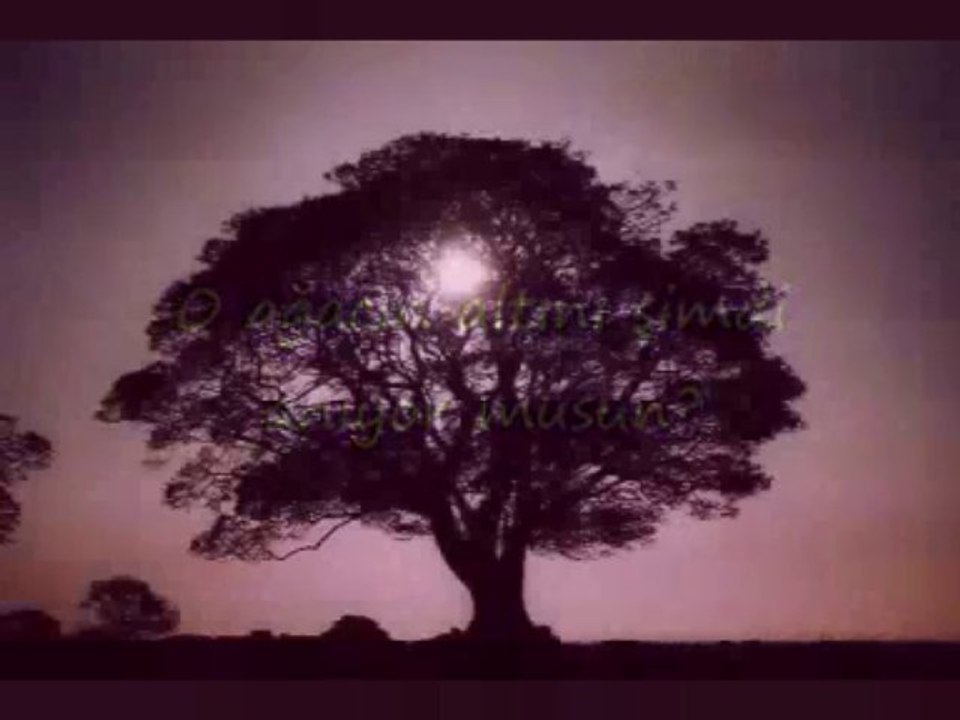 Zeki Müren - O Ağacın Altı (1)