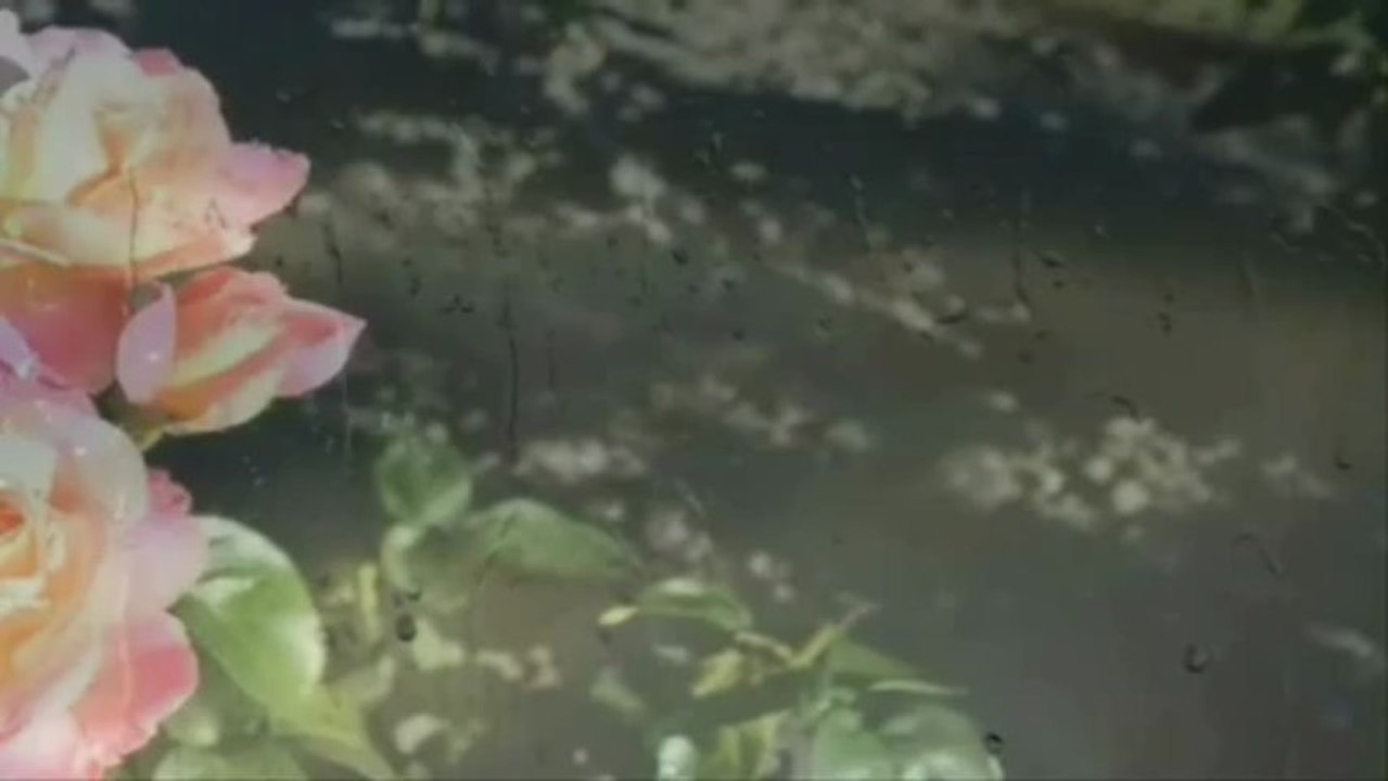 ELIAS  RAHBANI DİALA