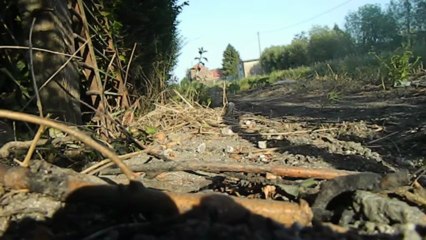 essai test de mouveau rokrider 360