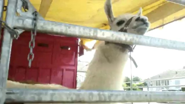 FRANCE BLEU LORRAINE NORD visite le cirque Medrano