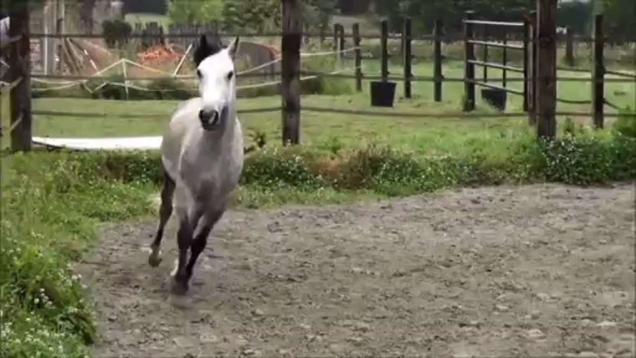 Vermillon de la Barre - 22 juin 2013