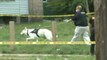 Search on in Cleveland suburb after three plastic-wrapped bodies found