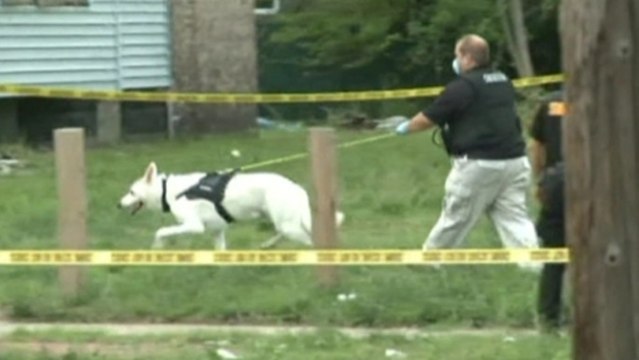 Search on in Cleveland suburb after three plastic-wrapped bodies found
