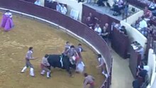 JOÃO RUI SALGUEIRO NO CAMPO PEQUENO PERANTE UM TOIRO DE ANTÓNIO CHARRUA