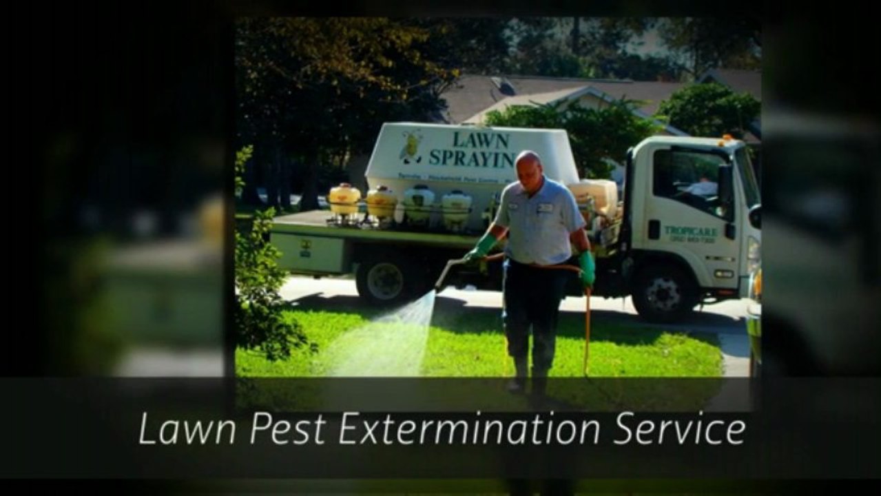 Lawn Service Spring Hill FL | Tropicare Pest Control Inc Call (352) 683-7300