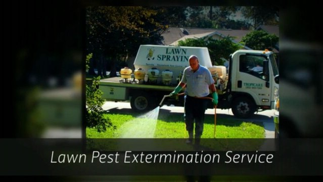 Lawn Service Spring Hill FL | Tropicare Pest Control Inc Call (352) 683-7300