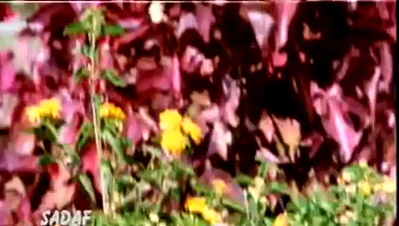 Masoom Chehra - Ansh: The Deadly Part (2002) Full Song