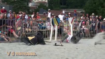 Tournoi de chevalerie à Clisson 44190