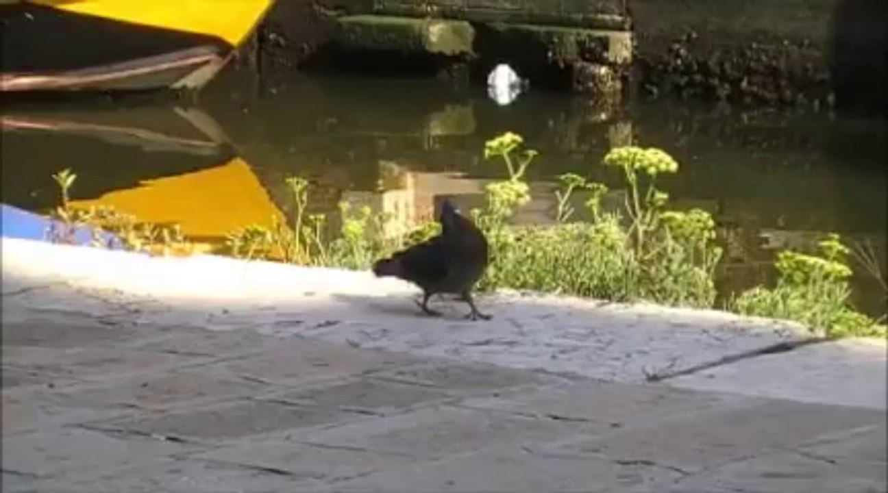 Cette pale copie d'Annecy