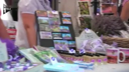 Valensole fête la lavande