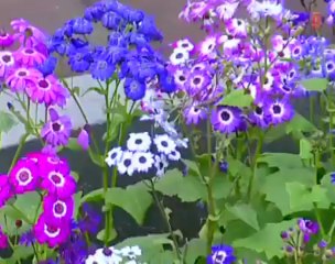 Mohabbat Karti Hoon Tujhse _ Teri Jawani Dhamaka (MUQABALA - E - QAWWALI)