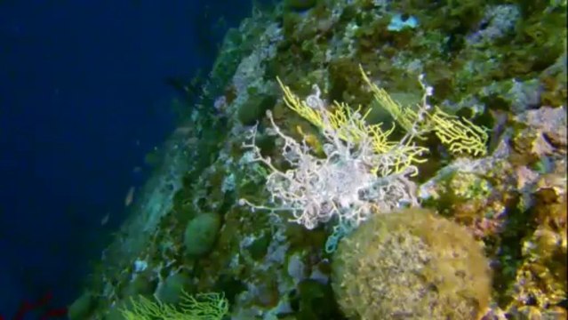 La Pierre à Cassis - Marseille juillet 2013