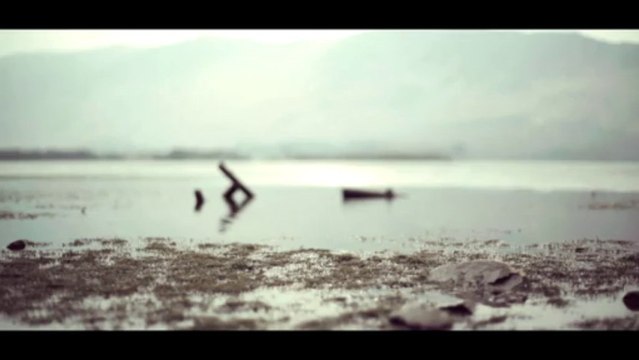 Bill Ryder-Jones - Wild Swans (Official Video)