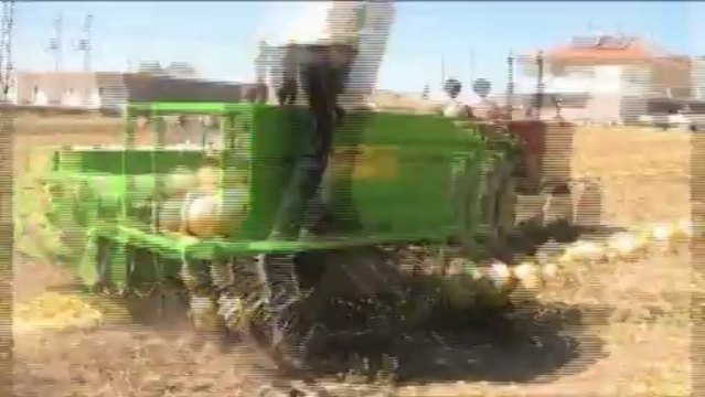 kabak toplama makinasi ,kabak hasat makinasi