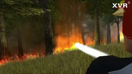 Simulation Feu de forêt - XVR 2013
