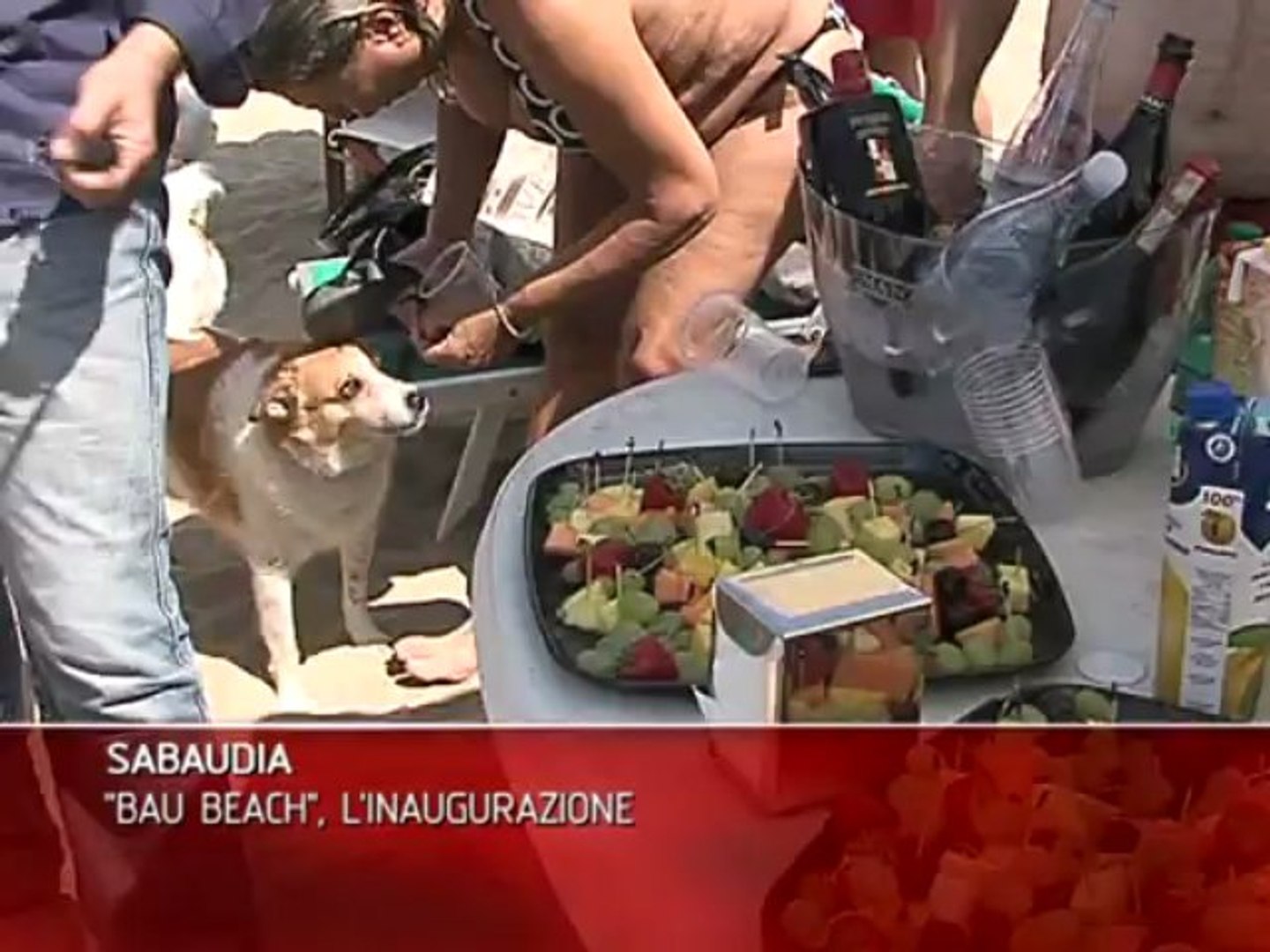 Sabaudia Inaugurazione La Spiaggia Per Cani