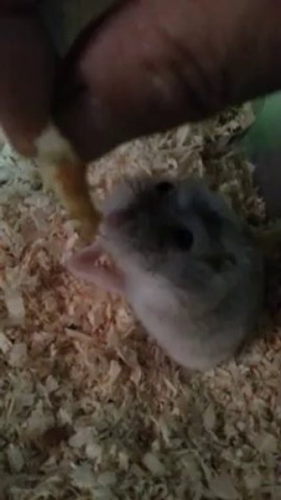 주세요.