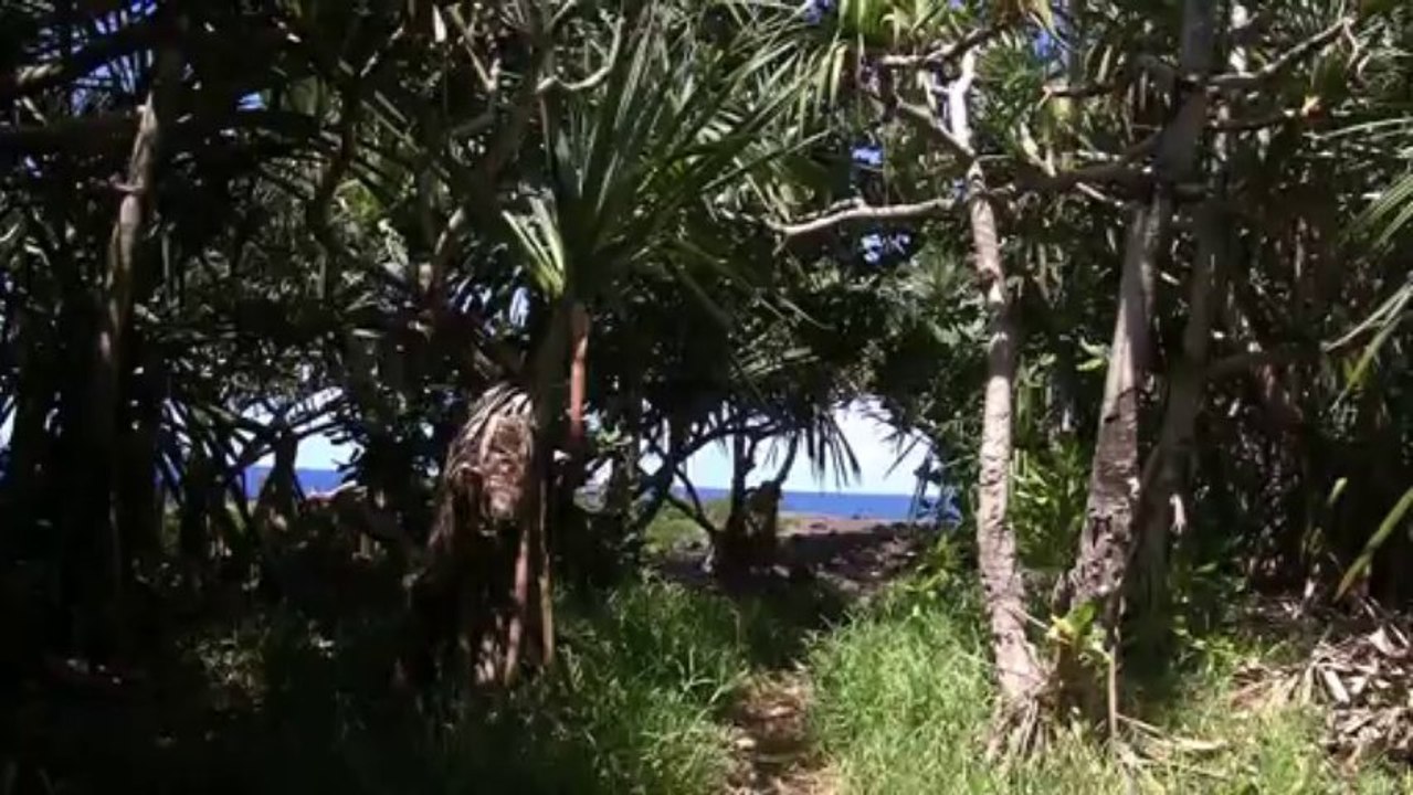 La Réunion