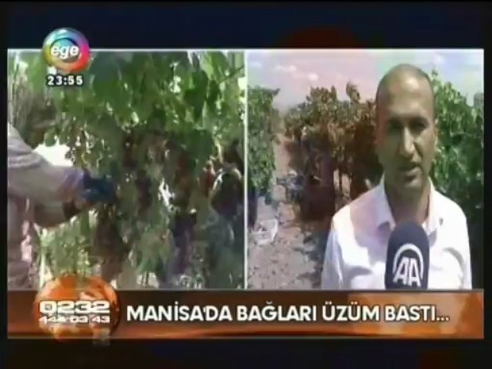 ege tv Haber - 18.07.2013 - Manisa Bağcılık Araştırma İstasyonu Müdürlüğü