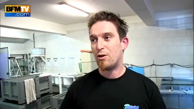 Les méduses, nouvel animal de compagnie - 22/07