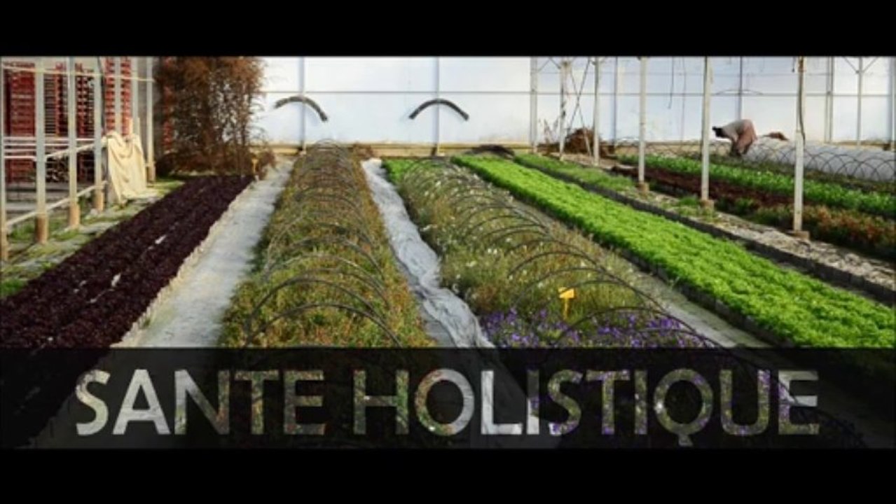 la voix du vent_ extrait(monsanto,syngenta )