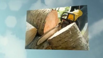 Duran Quality Tree Service - (903) 312-0477