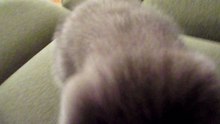 DSCF0844