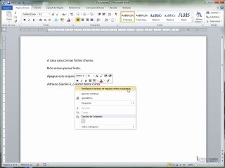 word2010  CAPÍTULO 1 - AULA 2 Erros de ortografia e gra