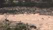 Debris filled banks and mud filled Mandakini: Agastyamuni