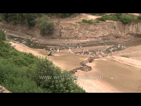 Damaged houses buried under the silt in Kirti Nagar, Uttarakhand