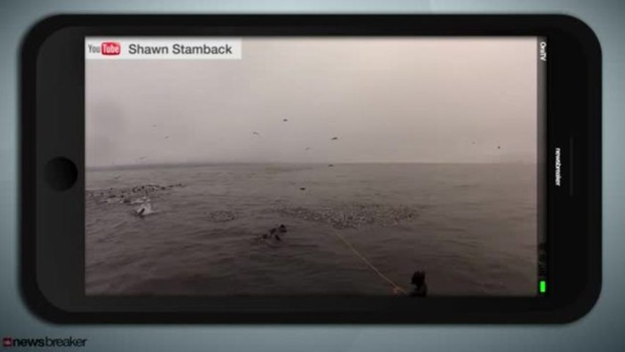 CLOSE CALL: Two Divers Almost Swallowed By Hungry Whales (CAUGHT ON TAPE)