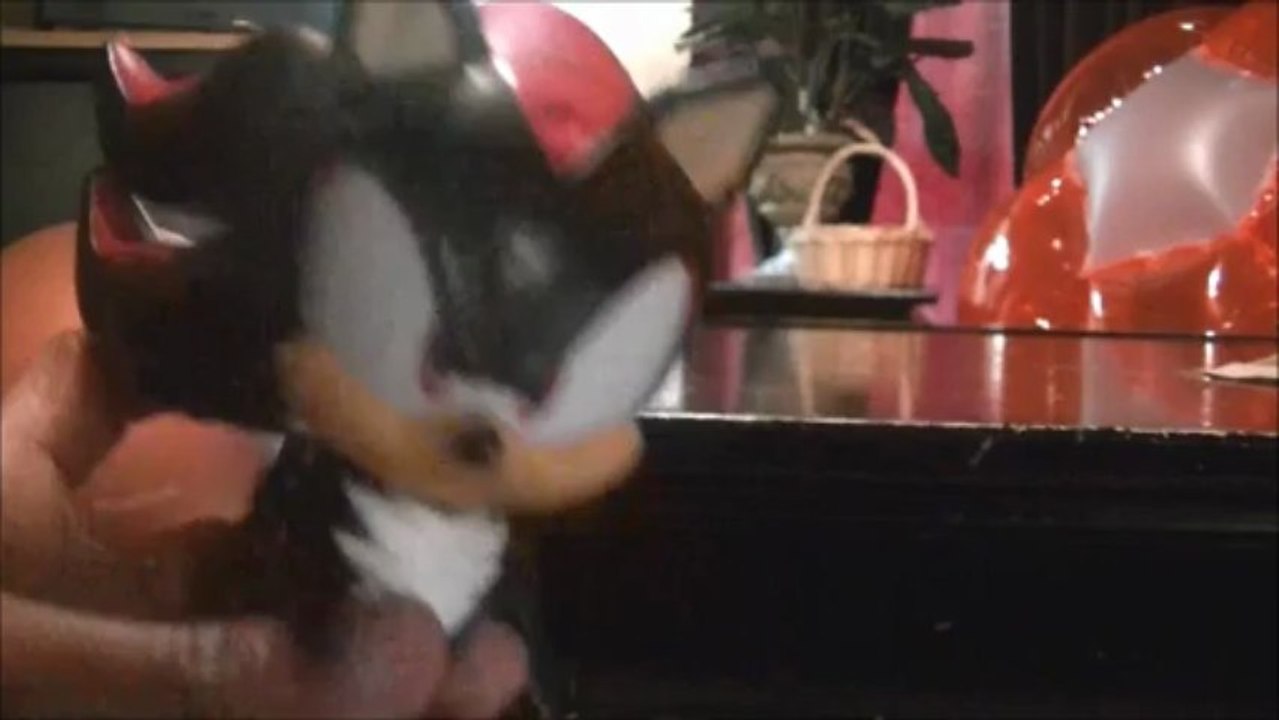 Shadow the Babysitter