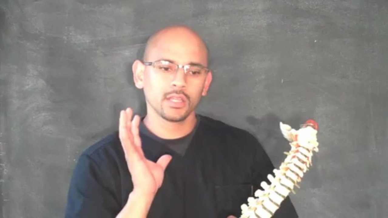 Ejercicios Para Dolor Lumbar - Sindrome Facetario - Dolor de Espalda Baja